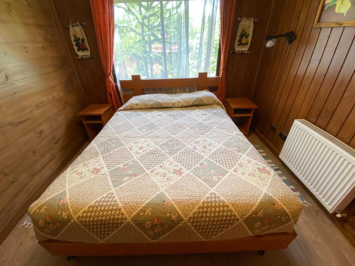 Hostal El Nogal Pucon Bagian luar foto