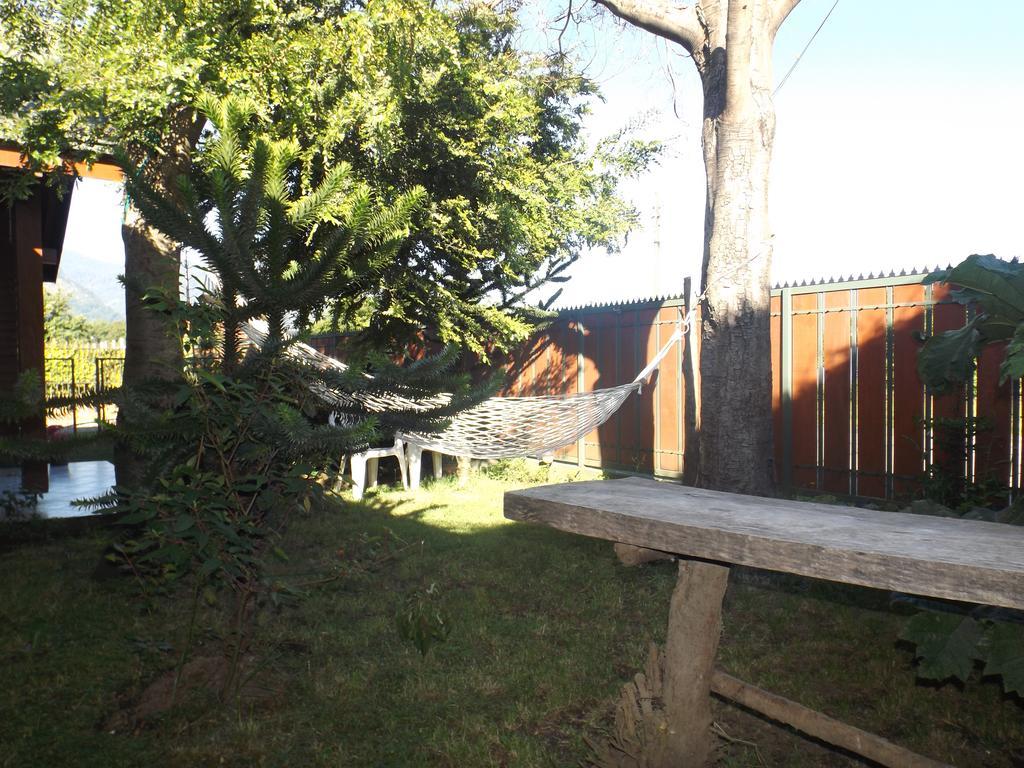Hostal El Nogal Pucon Bagian luar foto