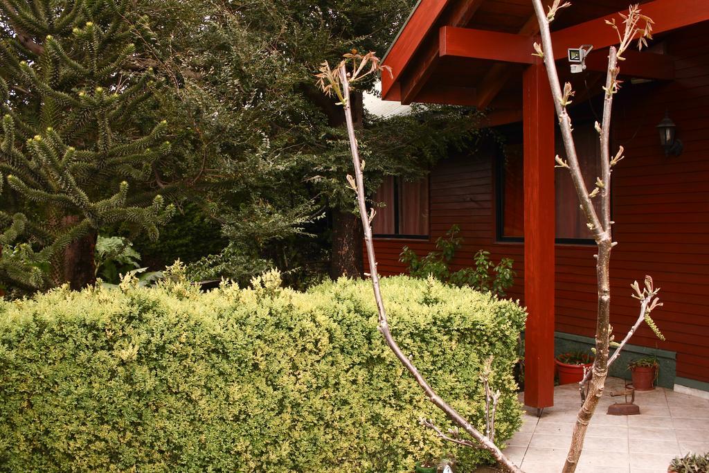Hostal El Nogal Pucon Bagian luar foto