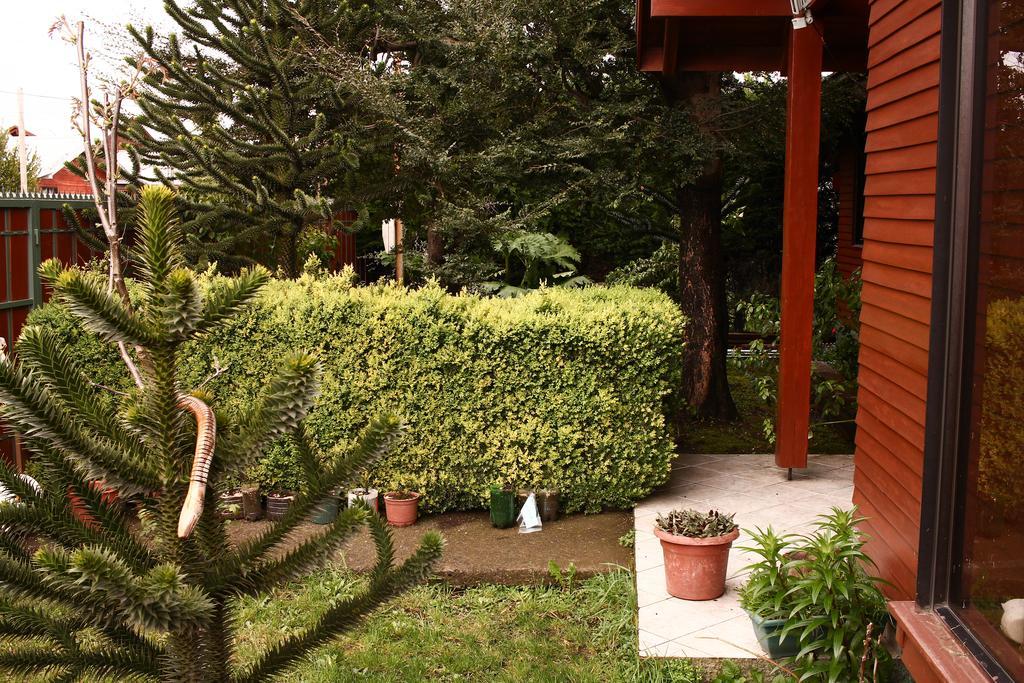 Hostal El Nogal Pucon Bagian luar foto